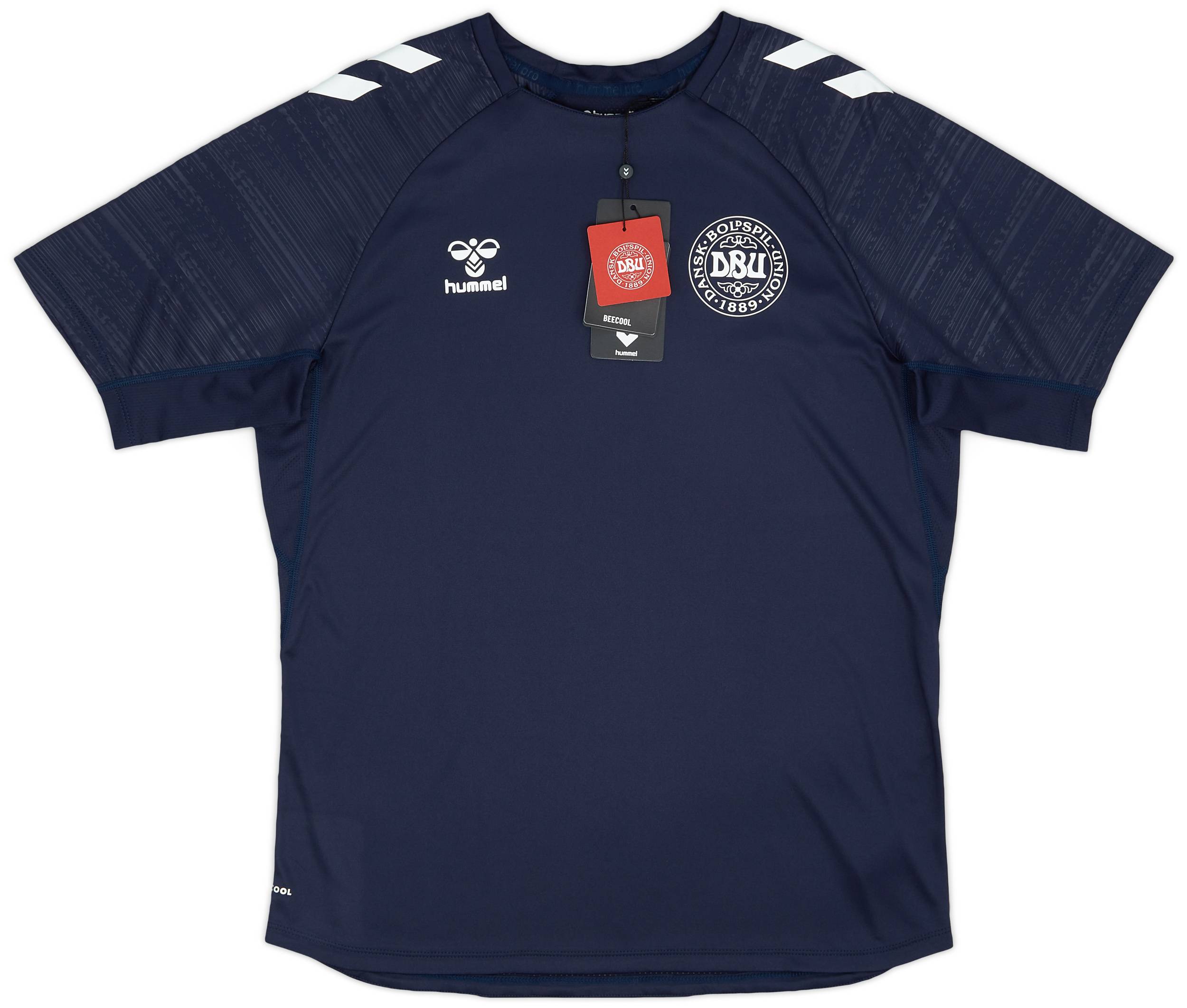 2024-25 Denmark Hummel Training Shirt