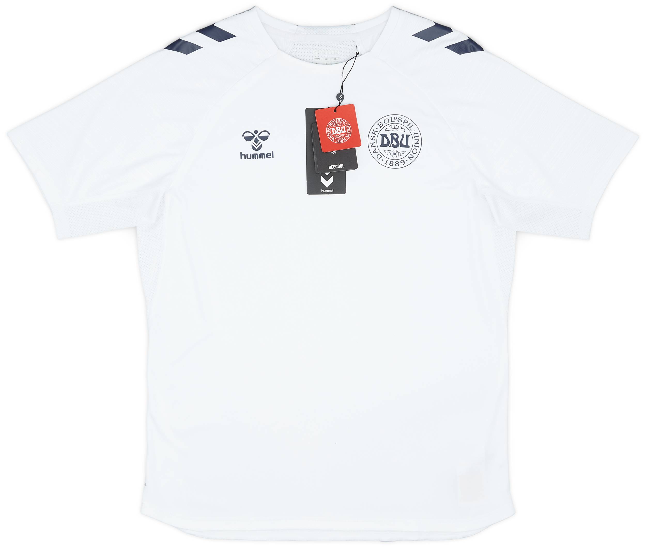2024-25 Denmark Hummel Training Shirt