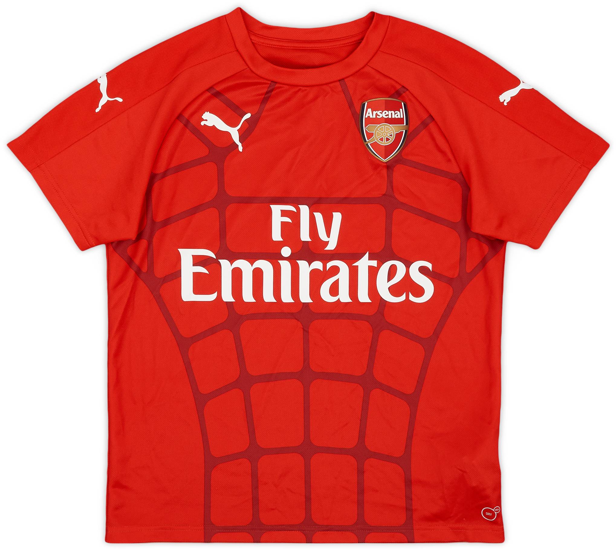 Arsenal puma training kit outlet