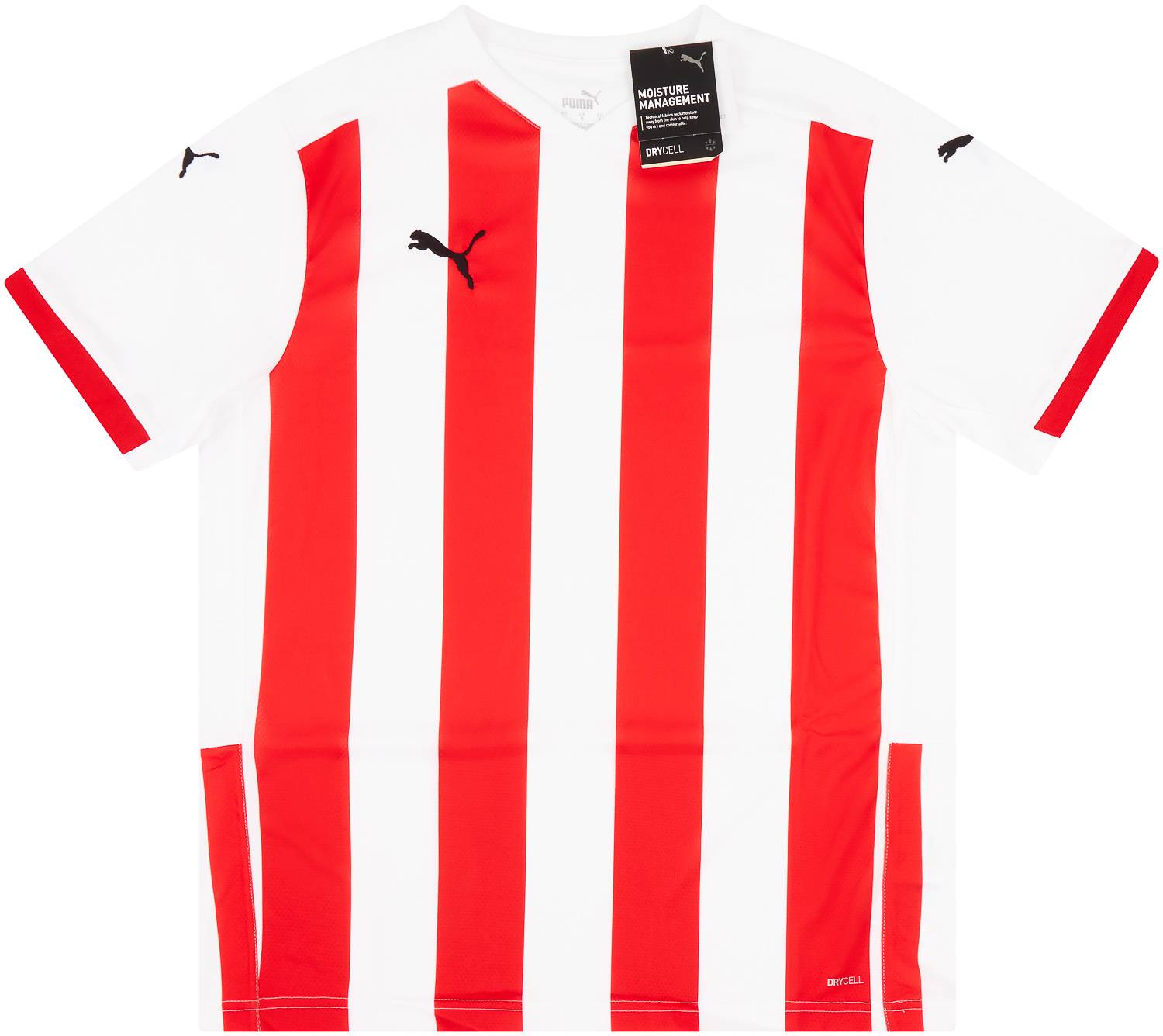 2020 21 Puma Template Shirt