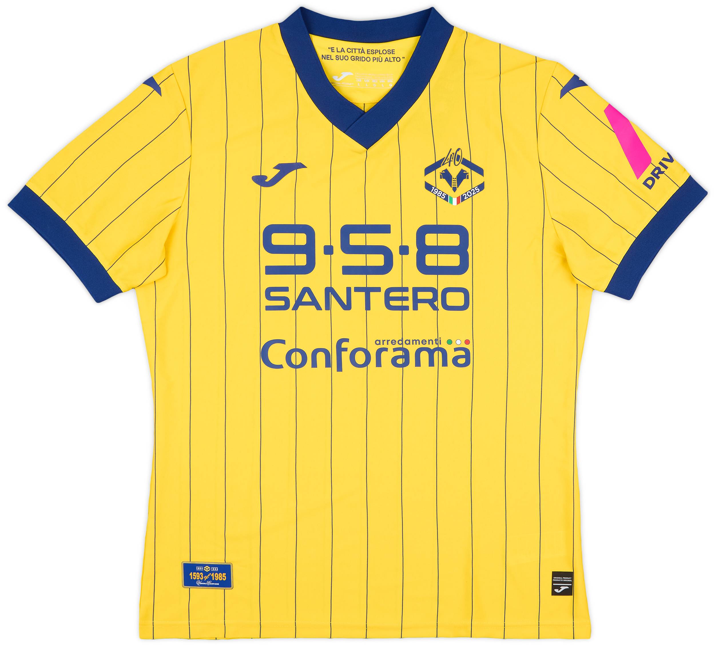2024-25 Hellas Verona Fourth Shirt