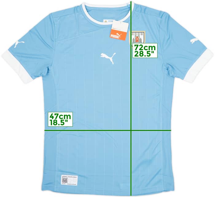 2012-14 Uruguay Home Shirt (M)