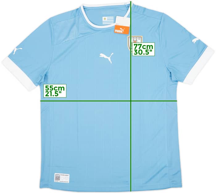2012-14 Uruguay Home Shirt (XL)