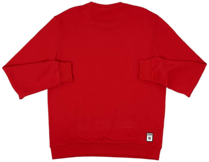 2020-21 Austria Puma DNA Sweat Top