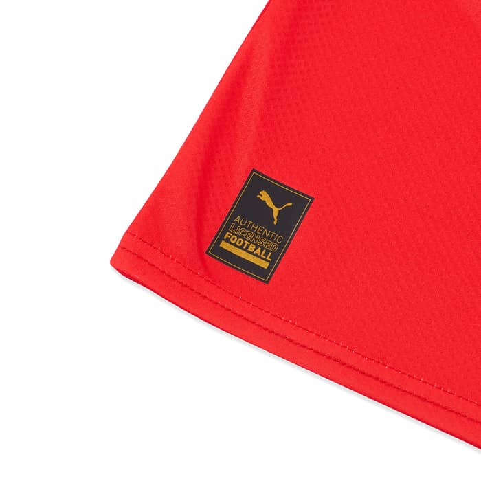 2022-23 Switzerland Home Shirt