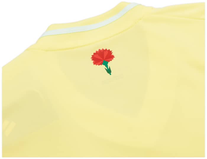 2024-25 Spain Away Shirt