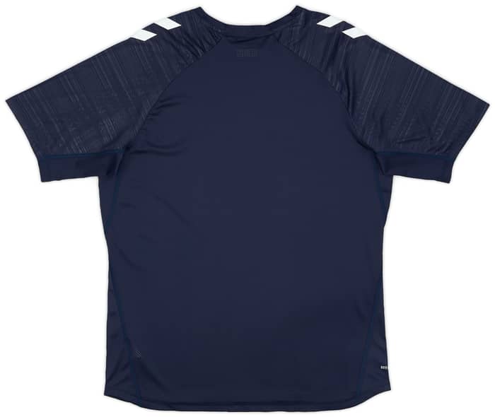 2024-25 Denmark Hummel Training Shirt