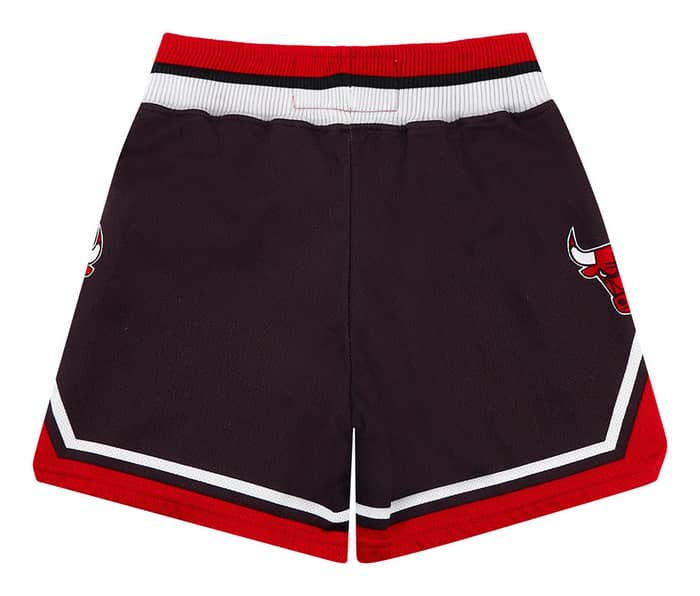 1990s Chicago Bulls Champion Shorts (Alternate) Y