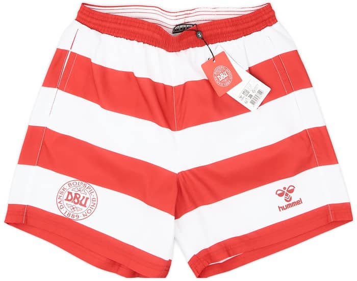 2024-25 Denmark Hummel Swim Shorts