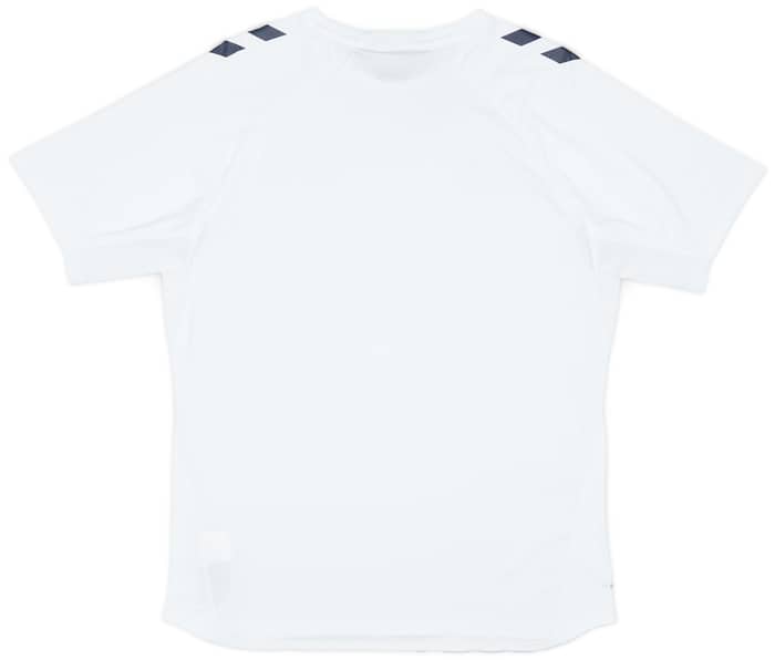 2024-25 Denmark Hummel Training Shirt