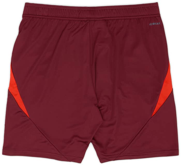 2024-25 Bayern Munich adidas European Training Shorts