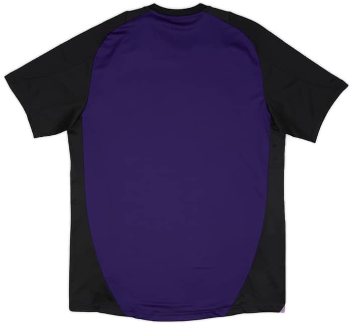 2024-25 Germany adidas Training Shirt