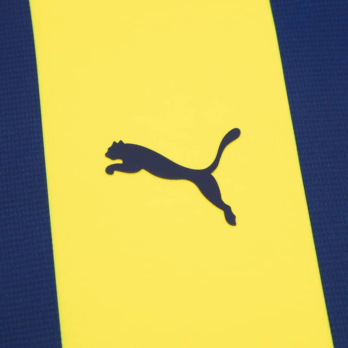 2024-25 Fenerbahce Home Shirt
