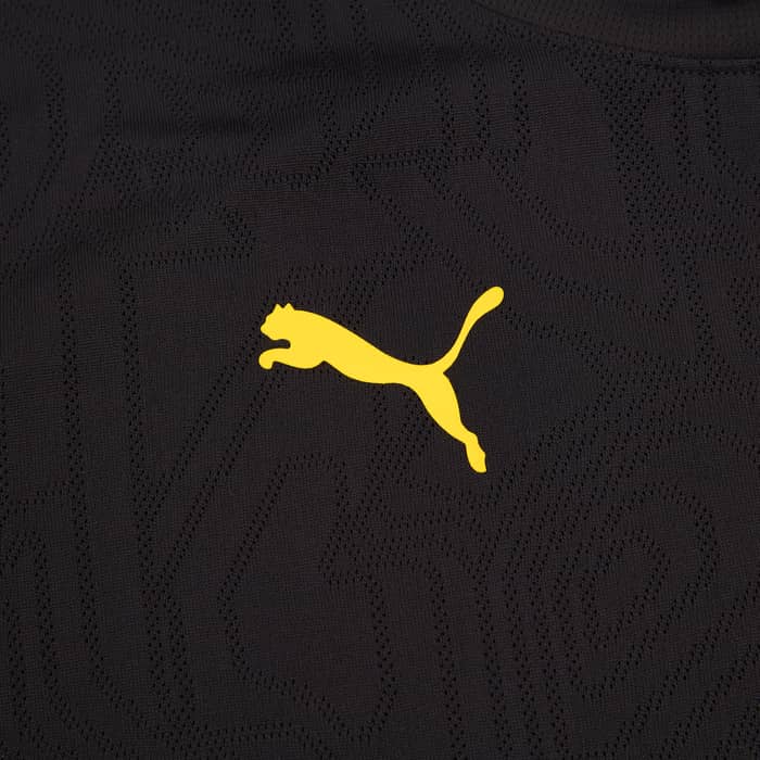 2024-25 Borussia Dortmund Puma Training Shirt