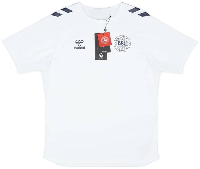 2024-25 Denmark Hummel Training Shirt