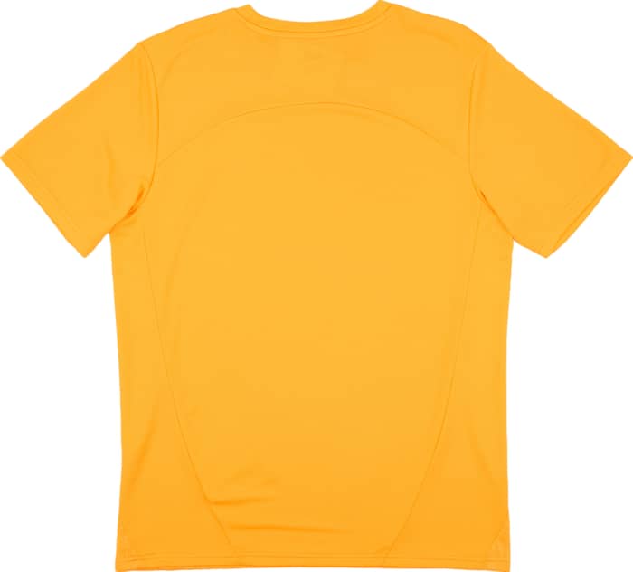 2024-25 Galatasaray Puma Training Shirt