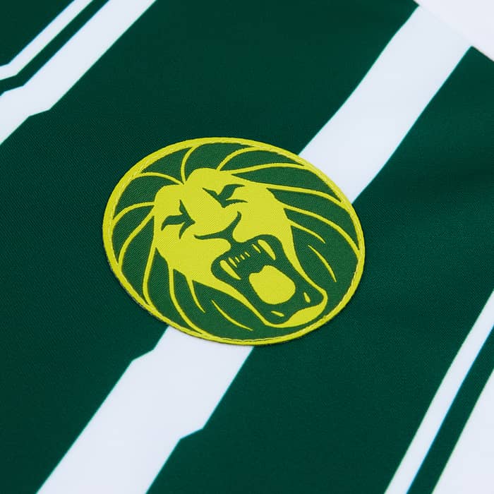 2022-23 Cameroon Third Shirt