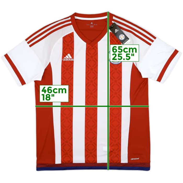2015 Paraguay Copa America Home Shirt (L)