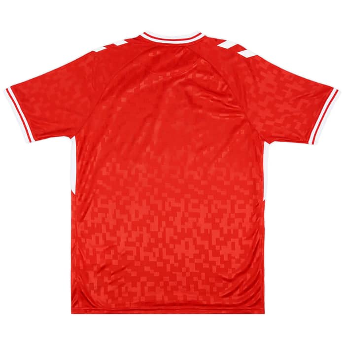2024-25 Denmark Home Shirt