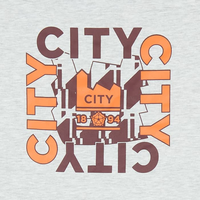 2023-24 Manchester City Puma Hooded Sweat Top (L)