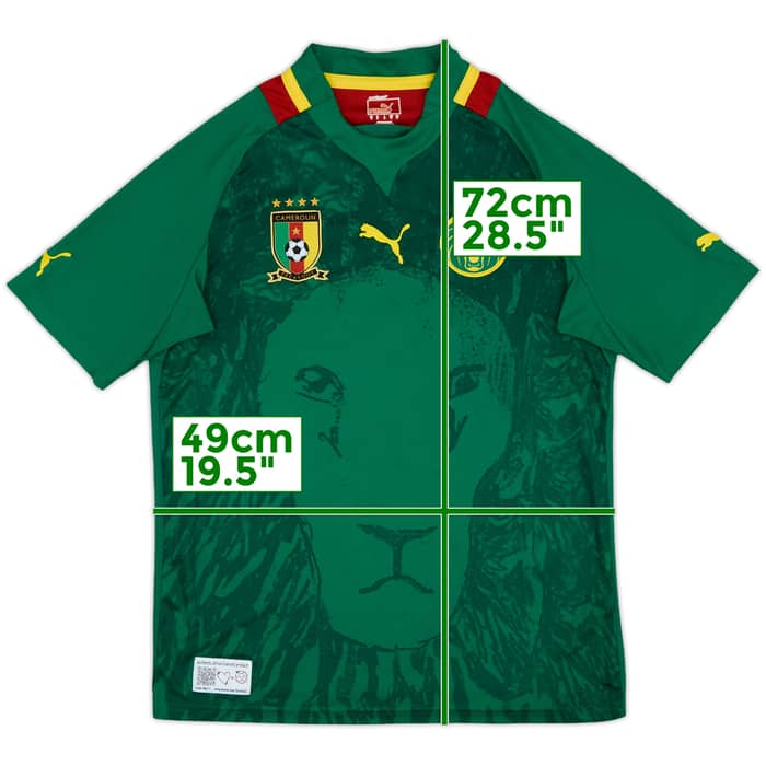 2011-13 Cameroon Home Shirt - 8/10 - (M)