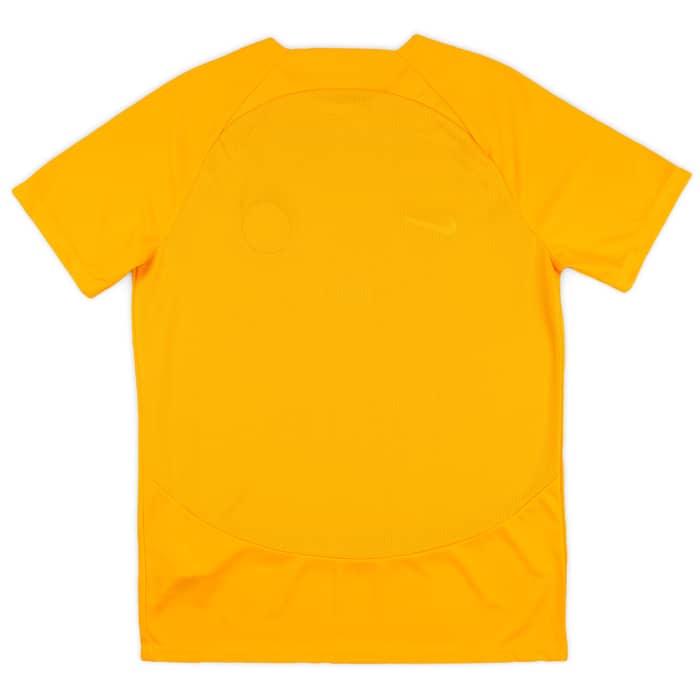 2022-23 Kaizer Chiefs Nike Training Shirt