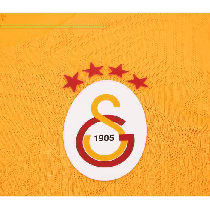 2024-25 Galatasaray Puma Training Shirt