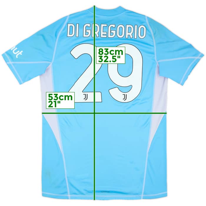 2024-25 Juventus Match Worn Champions League GK Shirt Di Gregorio #29