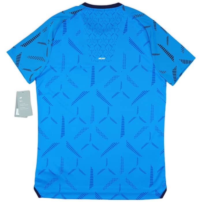 2024-25 Porto New Balance Training Shirt