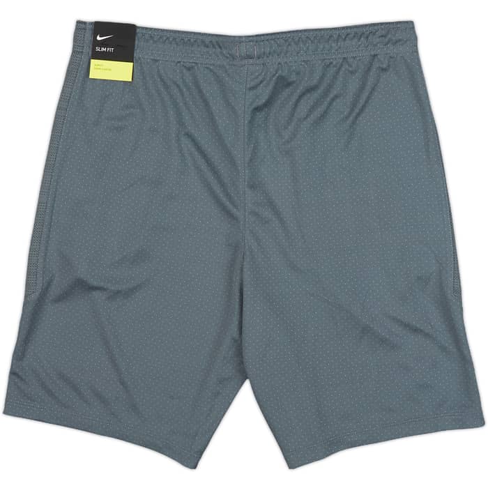 2019-20 Tottenham Nike Training Shorts (M)