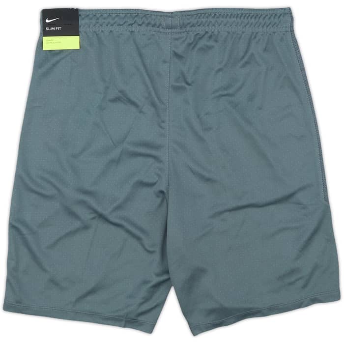 2019-20 Tottenham Nike Training Shorts (S)