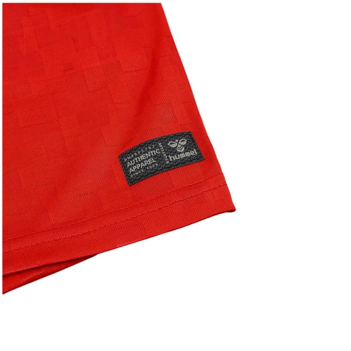 2024-25 Denmark Home Shirt