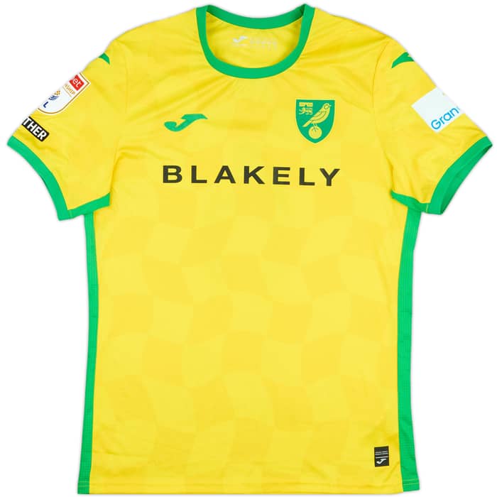 2024-25 Norwich City Match Issue Home Shirt Doyle #6