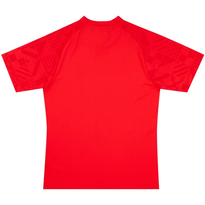 2022-23 Ghana Puma Pre-Match Training Shirt