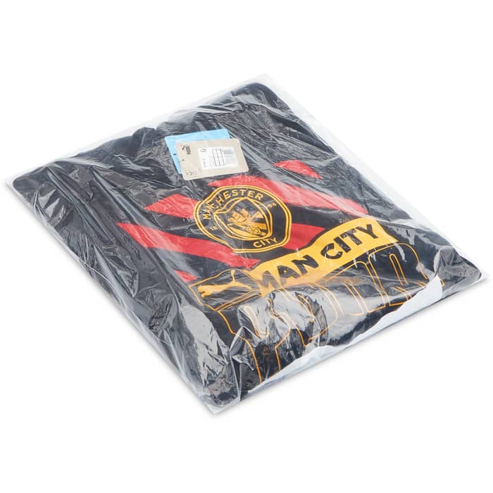 2022-23 Manchester City Puma FtblCore Hooded Sweat Top