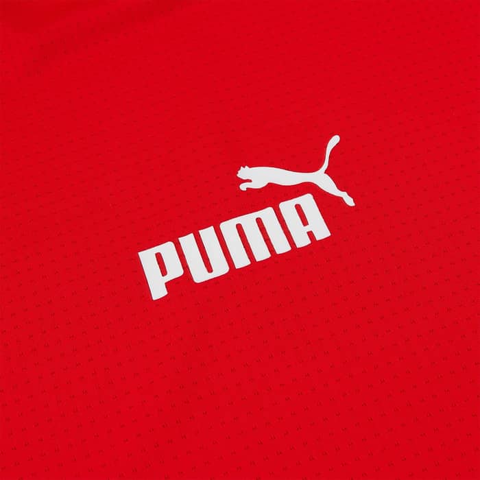 2022-23 Switzerland Puma Pre-Match Training Shirt