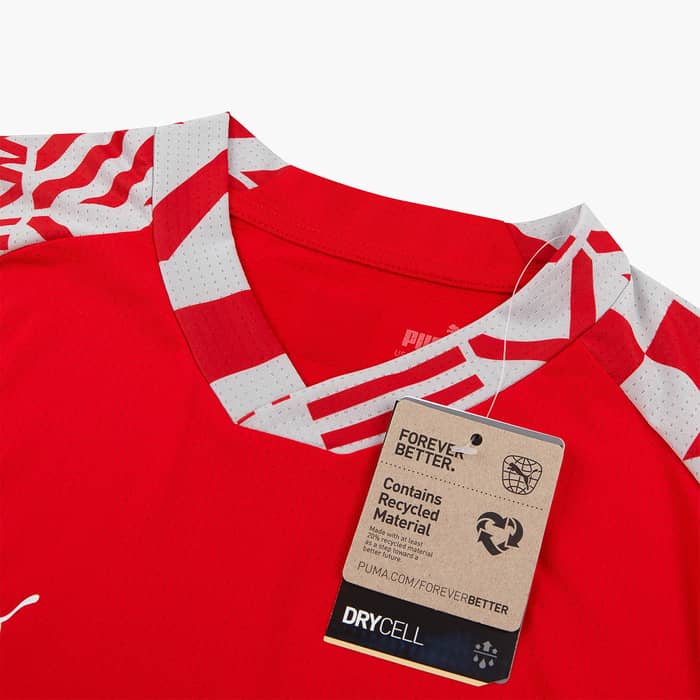 2022-23 Switzerland Puma Pre-Match Training Shirt