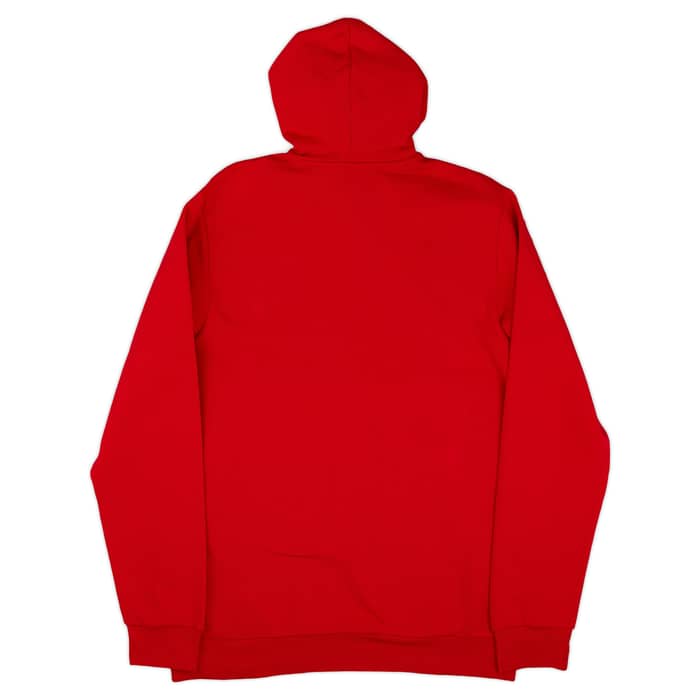 2023-24 Arsenal adidas DNA Hooded Top