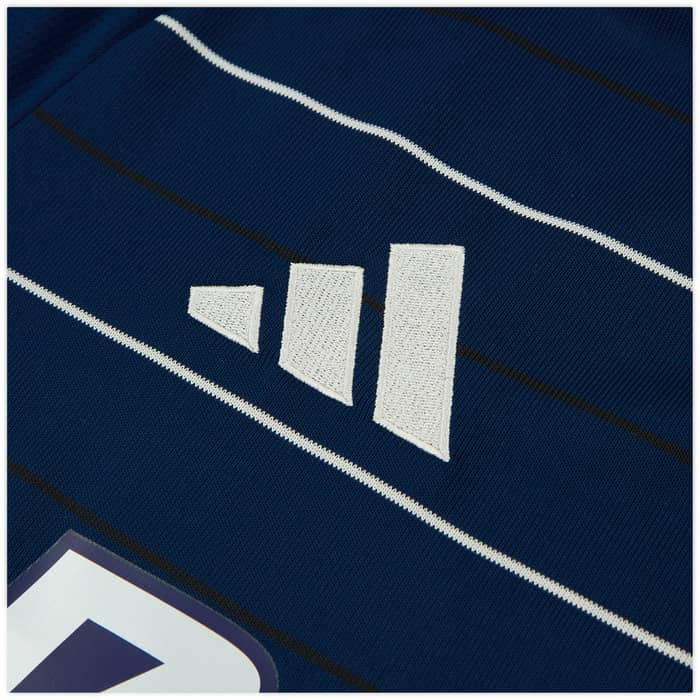 2024-25 Aston Villa Third Shirt