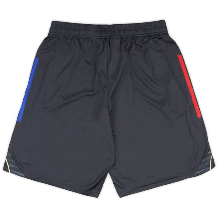 2025-26 Lyon adidas Training Shorts