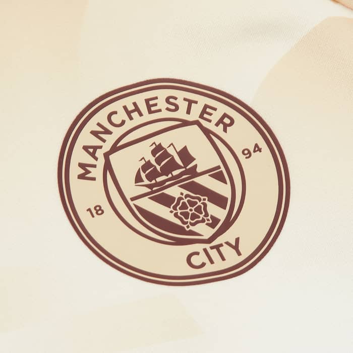 2023-24 Manchester City Puma Pre-Match Sweat Top