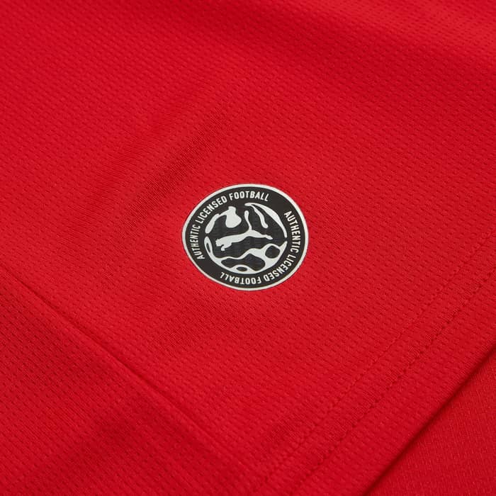 2026-27 Czech Republic Home Shirt Schick #10