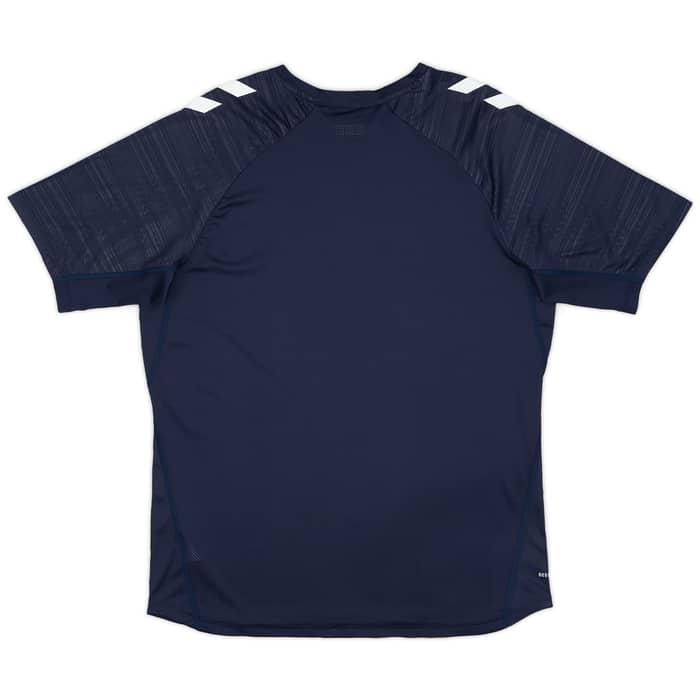 2024-25 Denmark Hummel Training Shirt