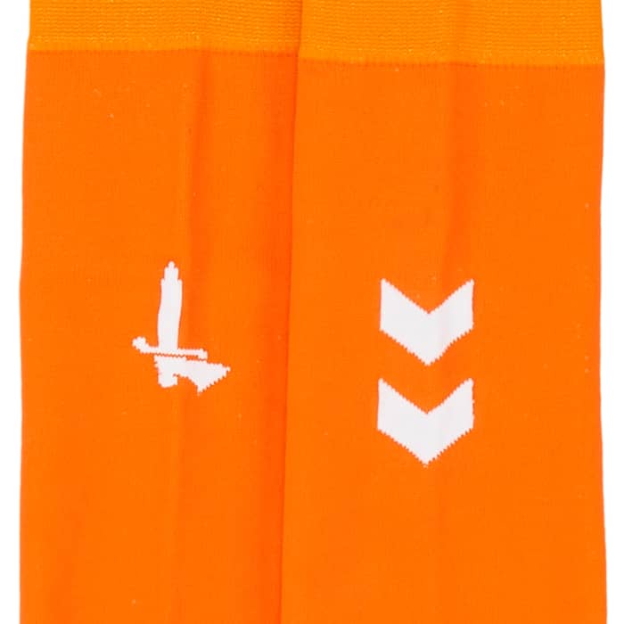 2020-21 Charlton GK Socks