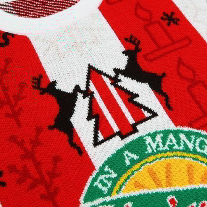 Ha'way in a Manger #10 Christmas Jumper