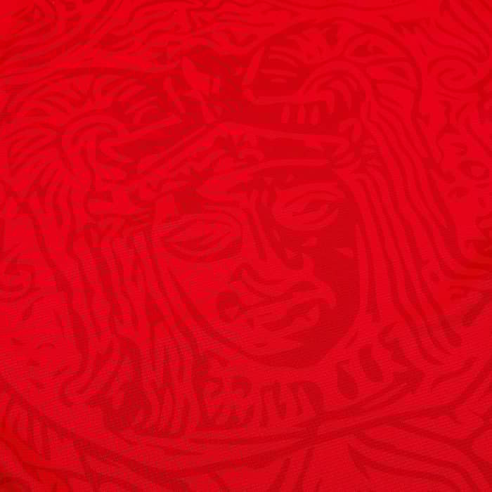 2022-23 Tunisia Home Shirt