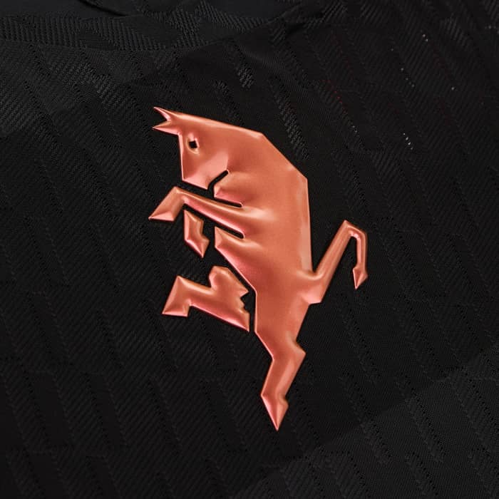 2025-26 Torino Third Shirt