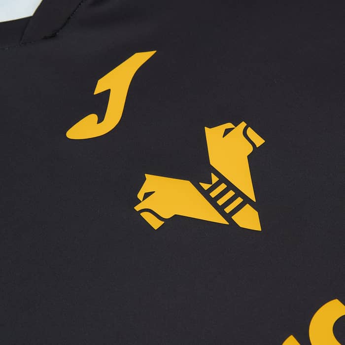 2025-26 Hellas Verona Fourth Shirt