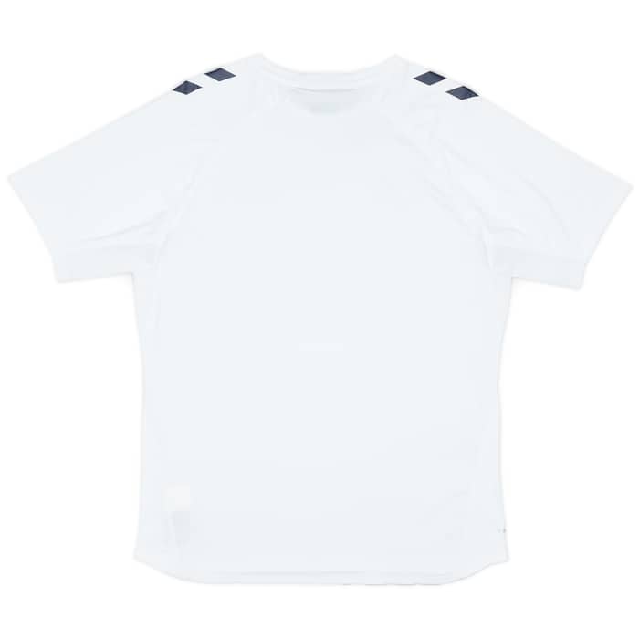 2024-25 Denmark Hummel Training Shirt