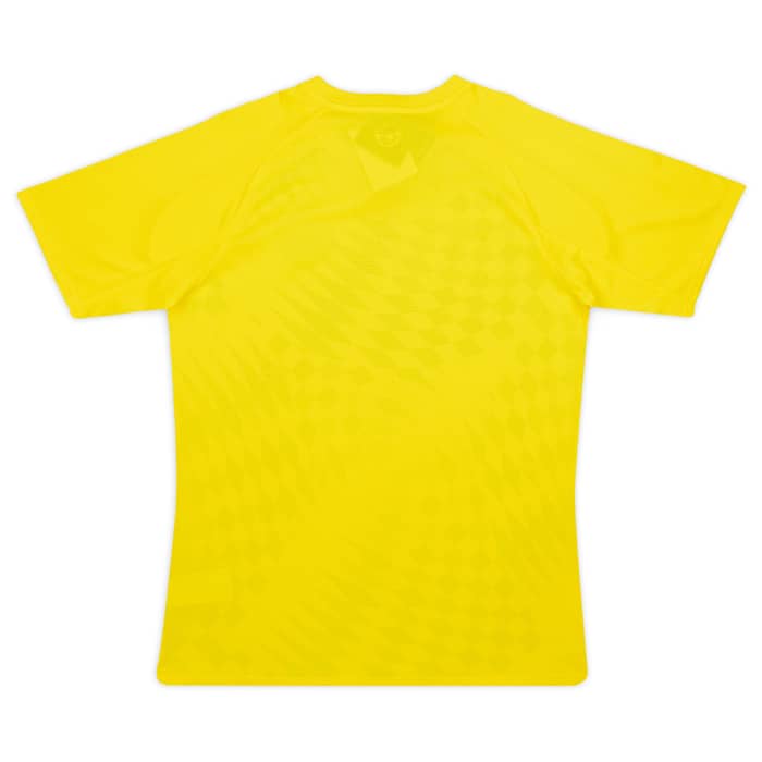 2023-24 Borussia Dortmund Puma Pre-Match Shirt